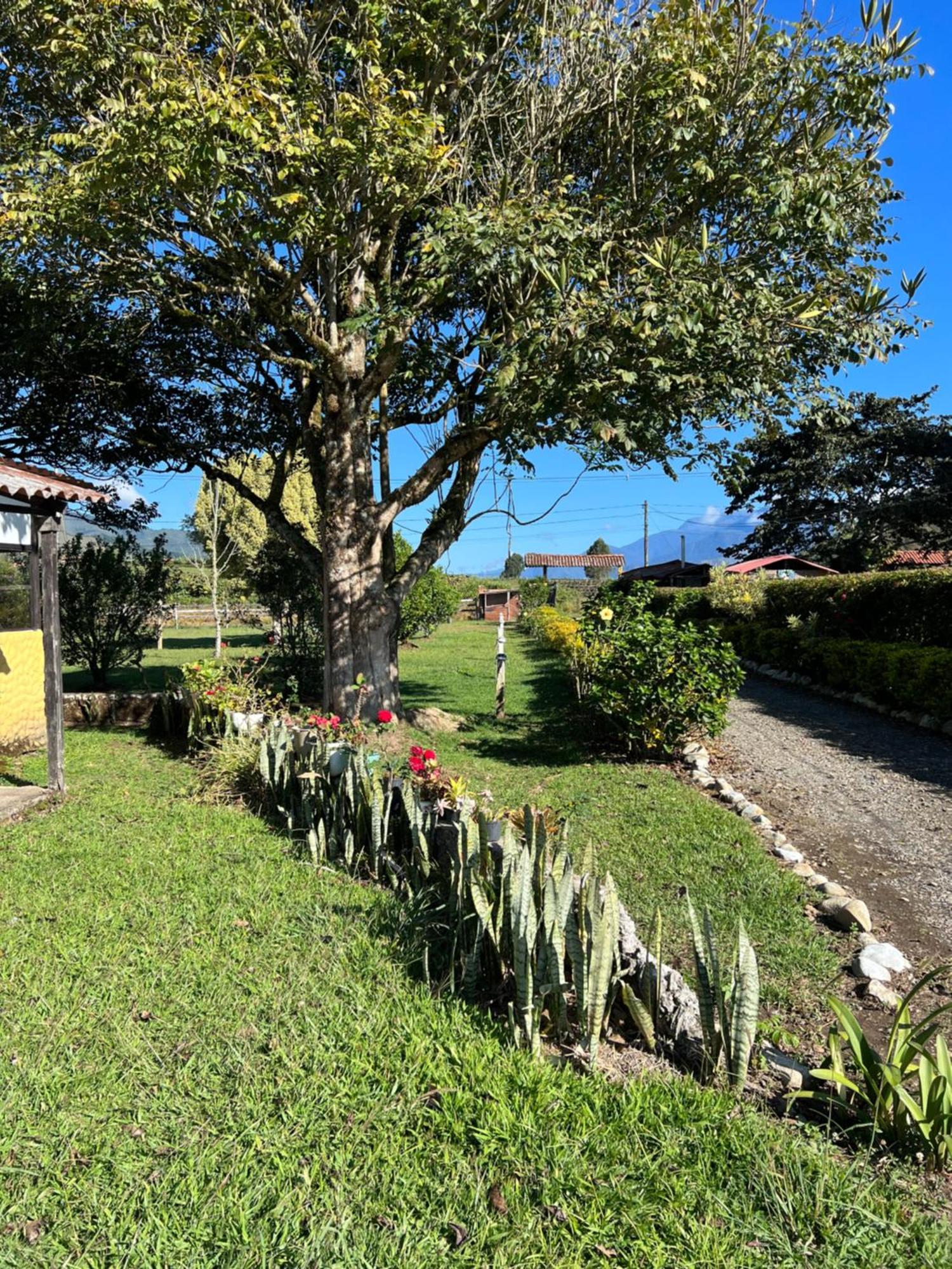 Finca Hotel Paraiso Urrao Exterior photo
